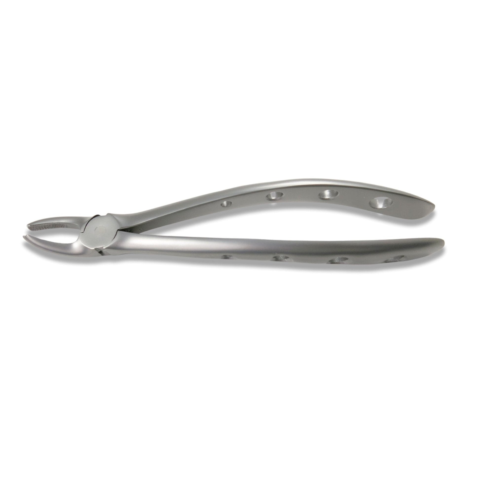 Adult Extraction Forcep, FXX17 - Osung USA