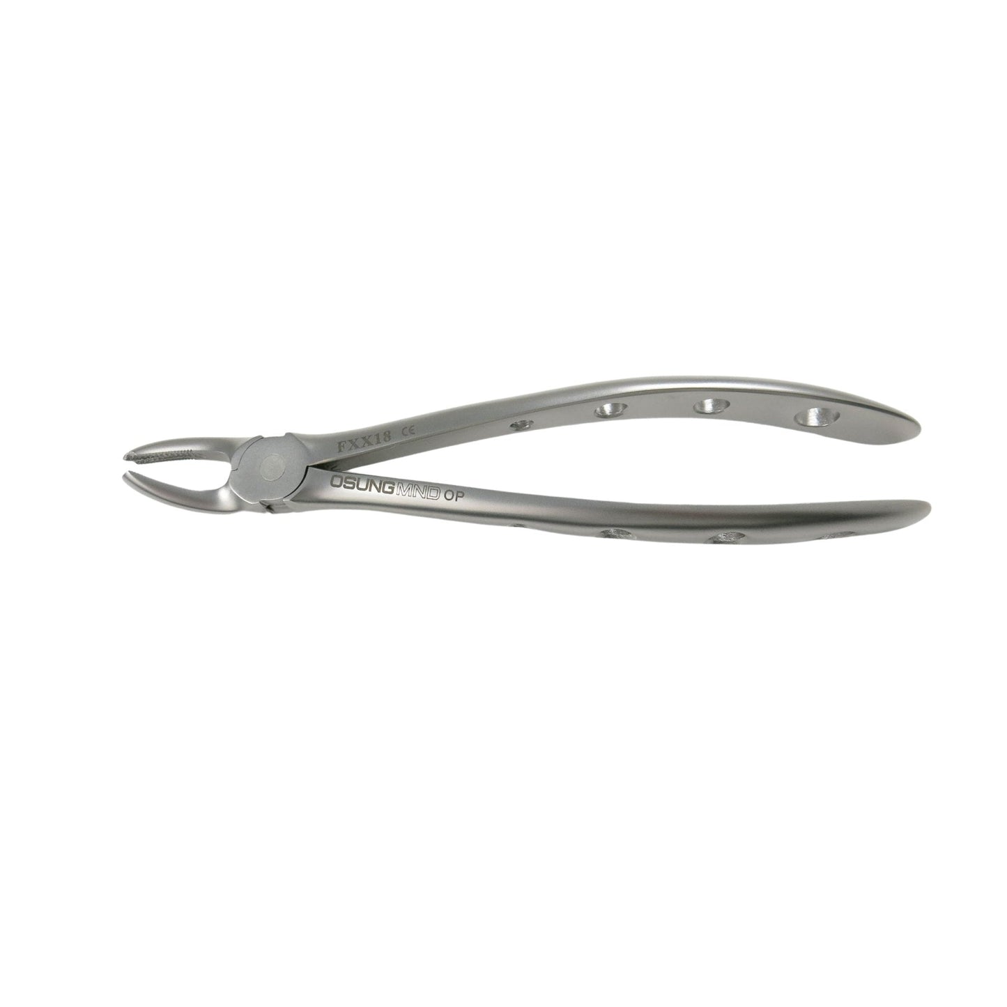 Adult Extraction Forcep, FXX18 - Osung USA