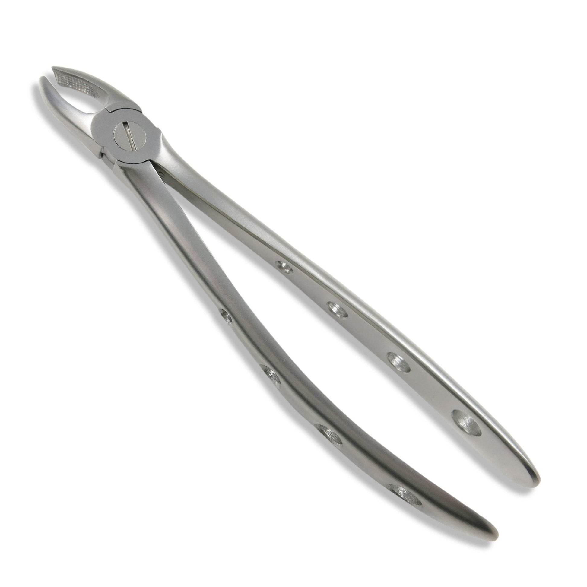 Adult Extraction Forcep, FXX18 - Osung USA