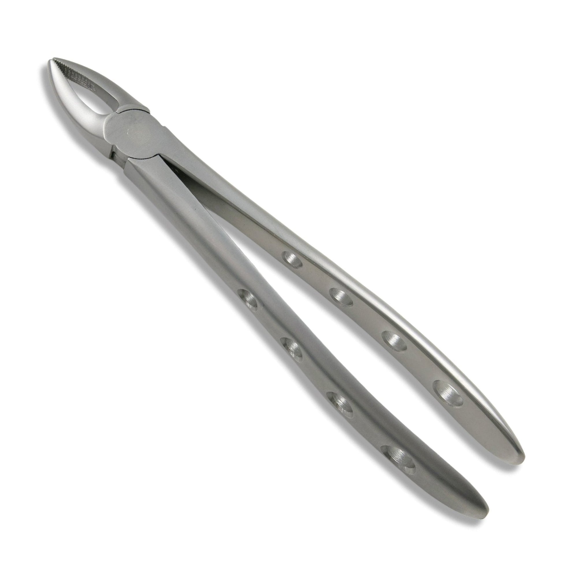 Adult Extraction Forcep, FXX2 - Osung USA