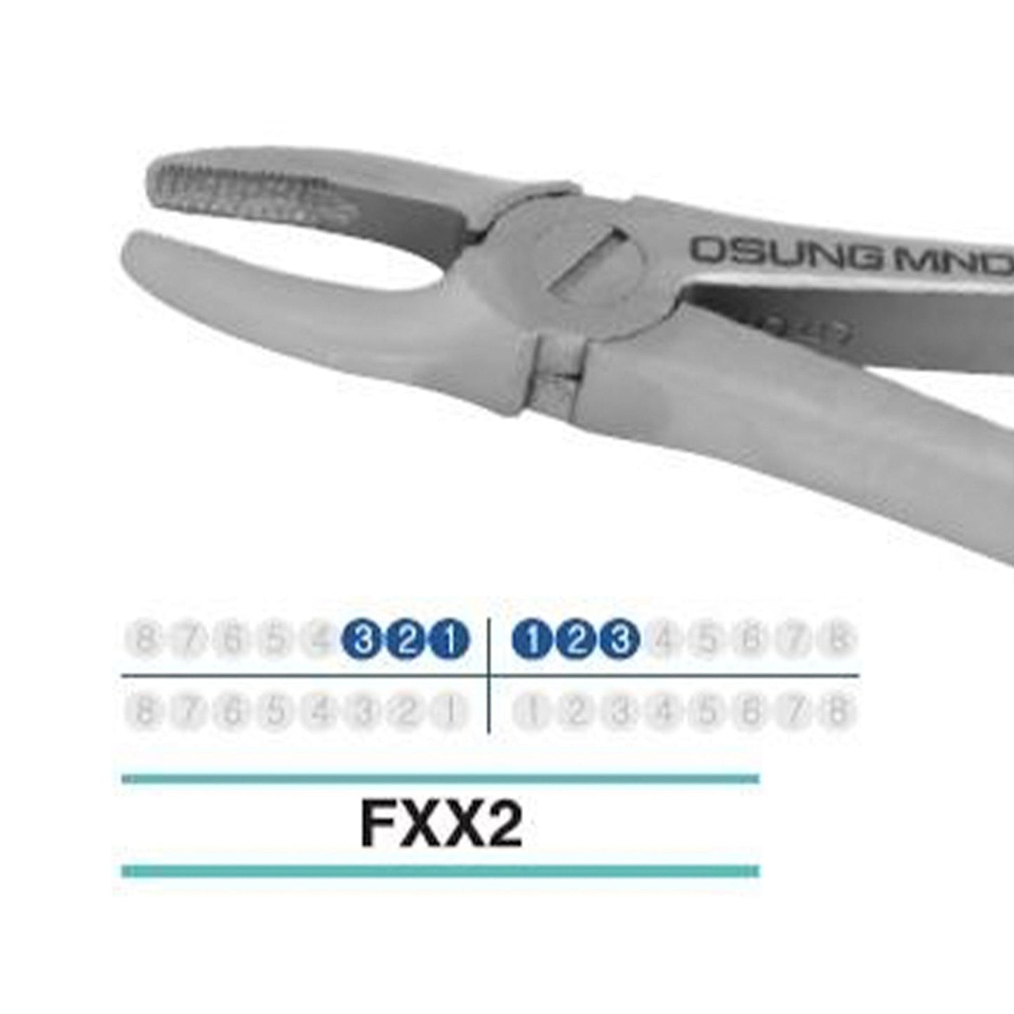 Adult Extraction Forcep, FXX2 - Osung USA