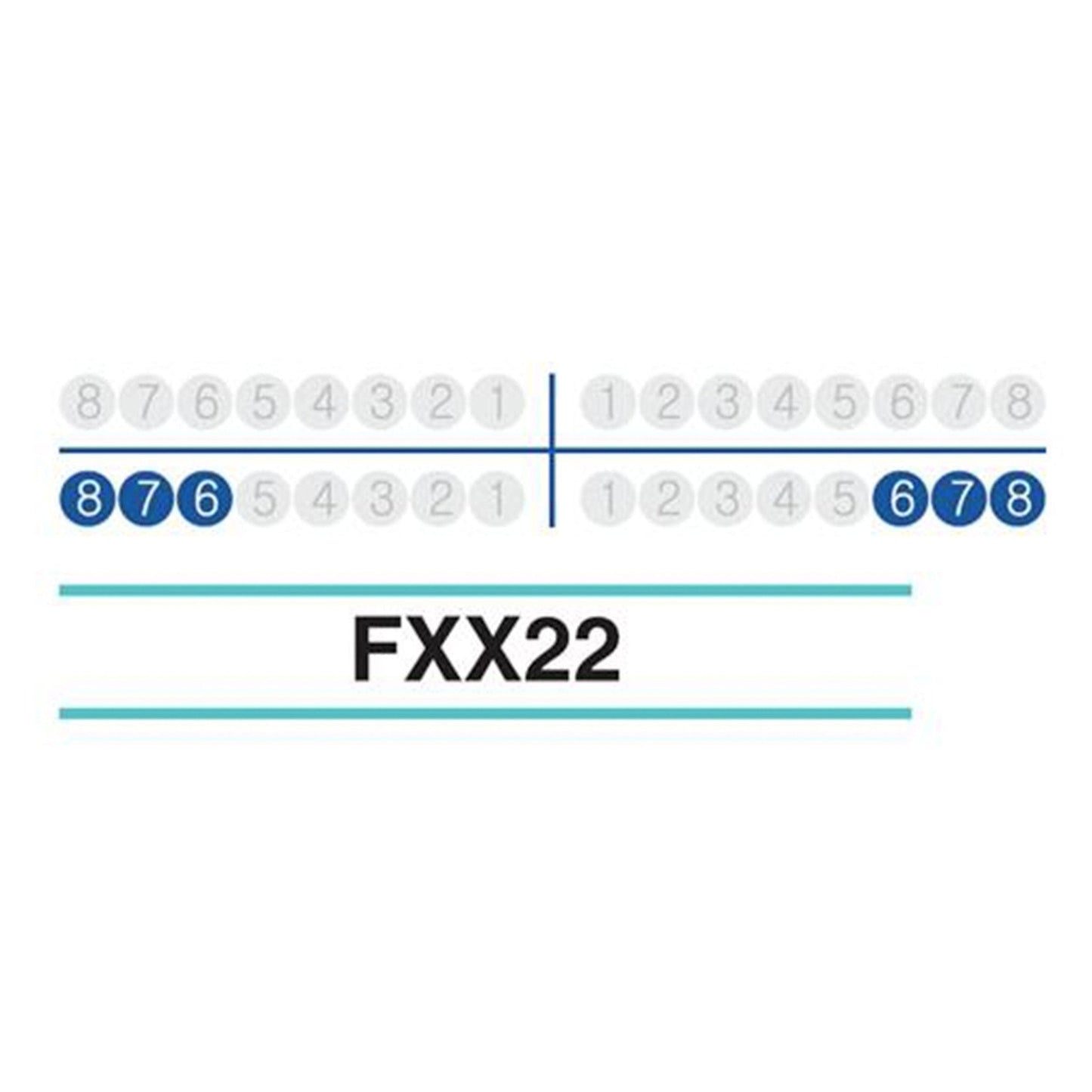 Adult Extraction Forcep, FXX22 - Osung USA