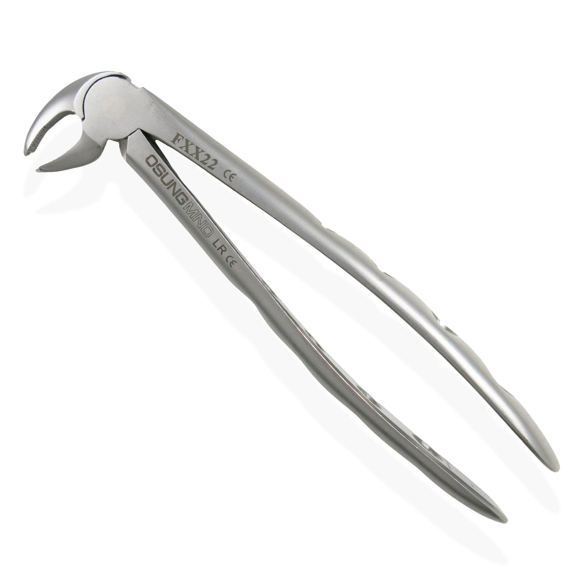 Adult Extraction Forcep, FXX22 - Osung USA