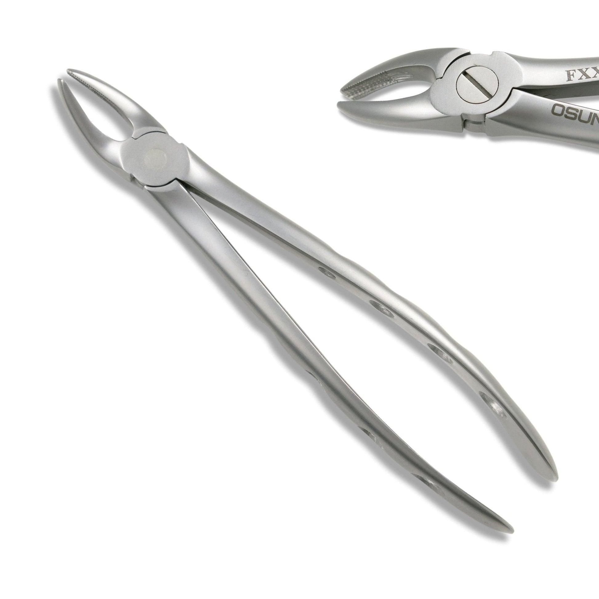 Adult Extraction Forcep, FXX7 - Osung USA