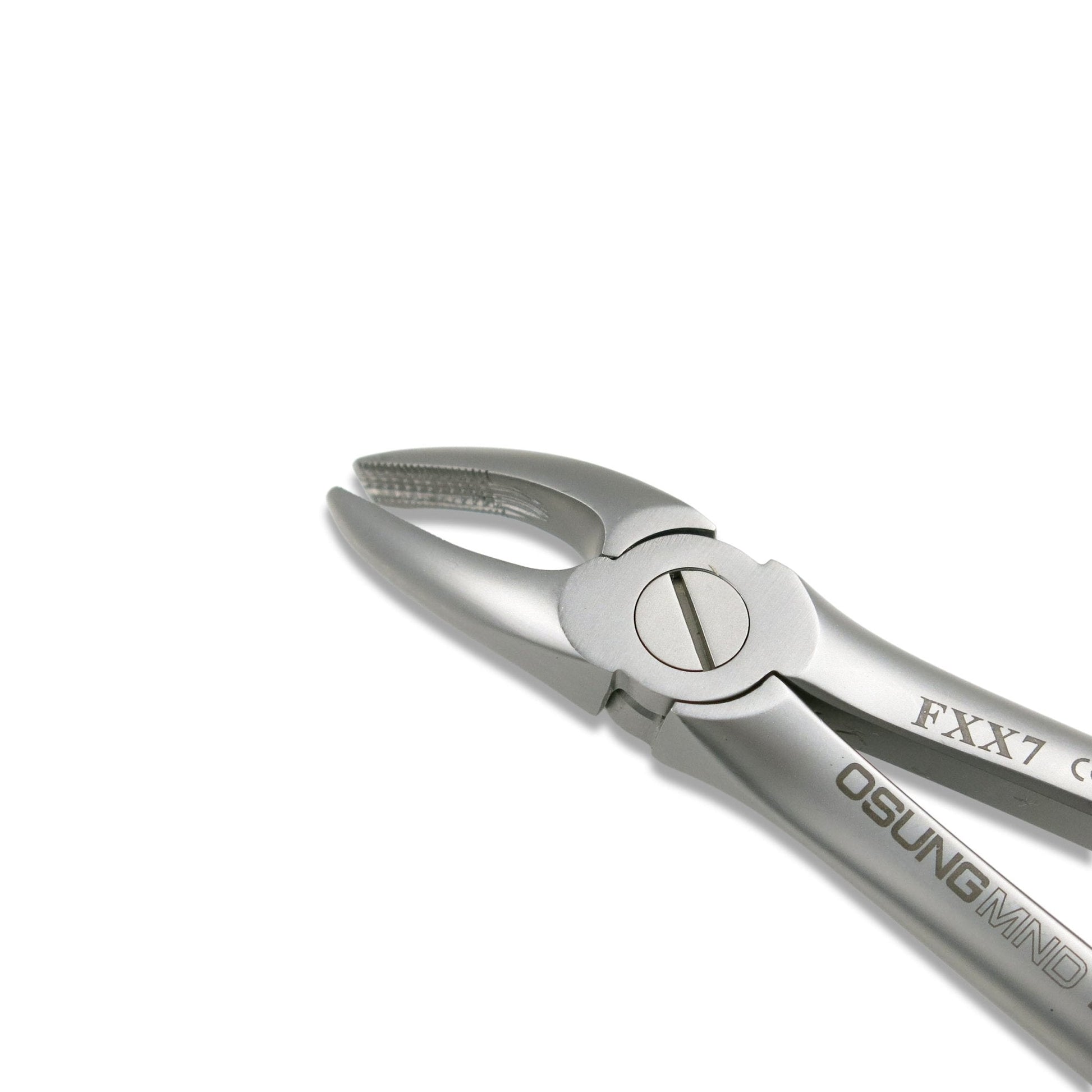 Adult Extraction Forcep, FXX7 - Osung USA