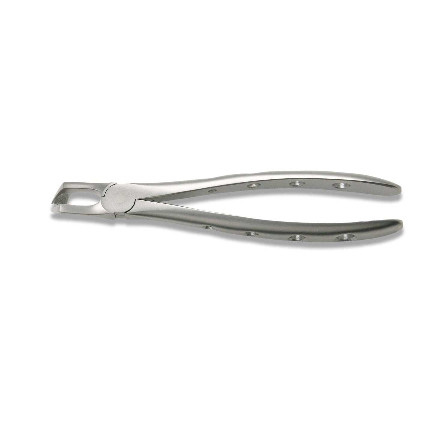 Adult Extraction Forcep, FXX79 - Osung USA