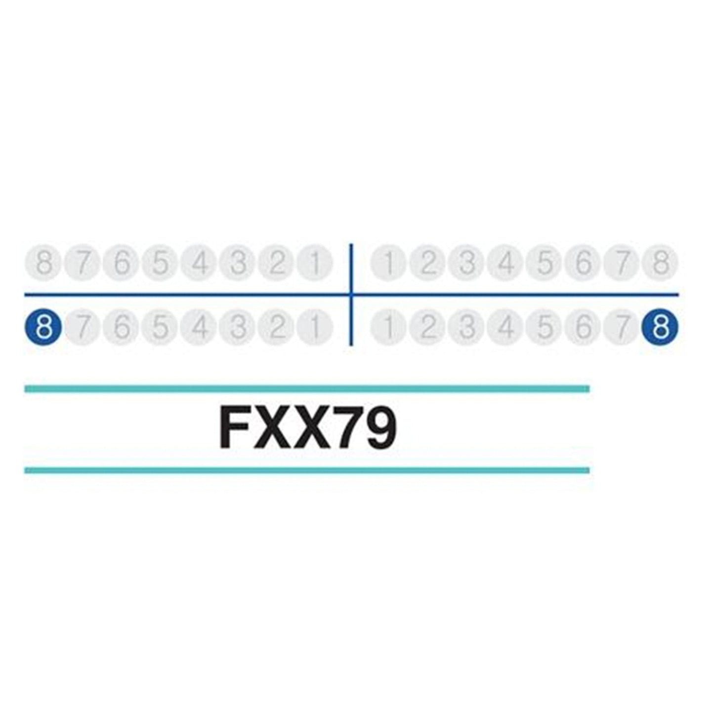 Adult Extraction Forcep, FXX79 - Osung USA