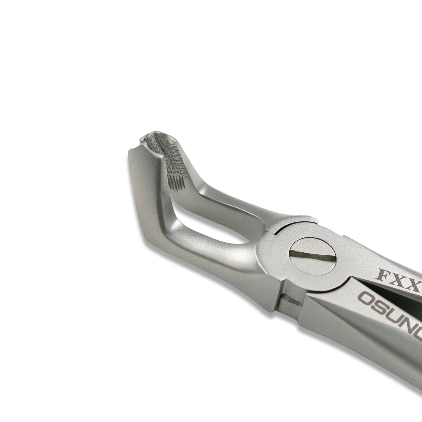 Adult Extraction Forcep, FXX79 - Osung USA