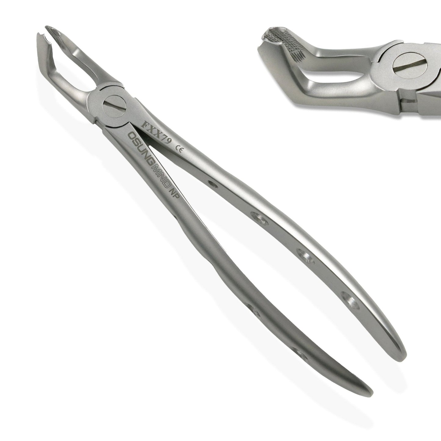 Adult Extraction Forcep, FXX79 - Osung USA