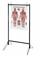 PORTABLE CHART STAND, SOLD AS EACH ANATOMICAL 10000765