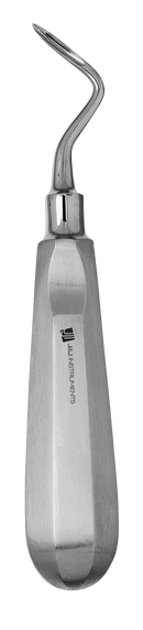 Apical Elevator
