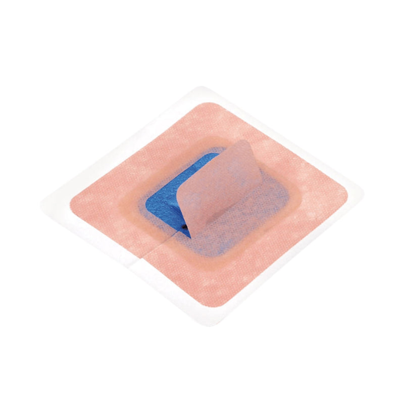 Stayfix Catheter Fixation Device, Large 20/BOX -685ME