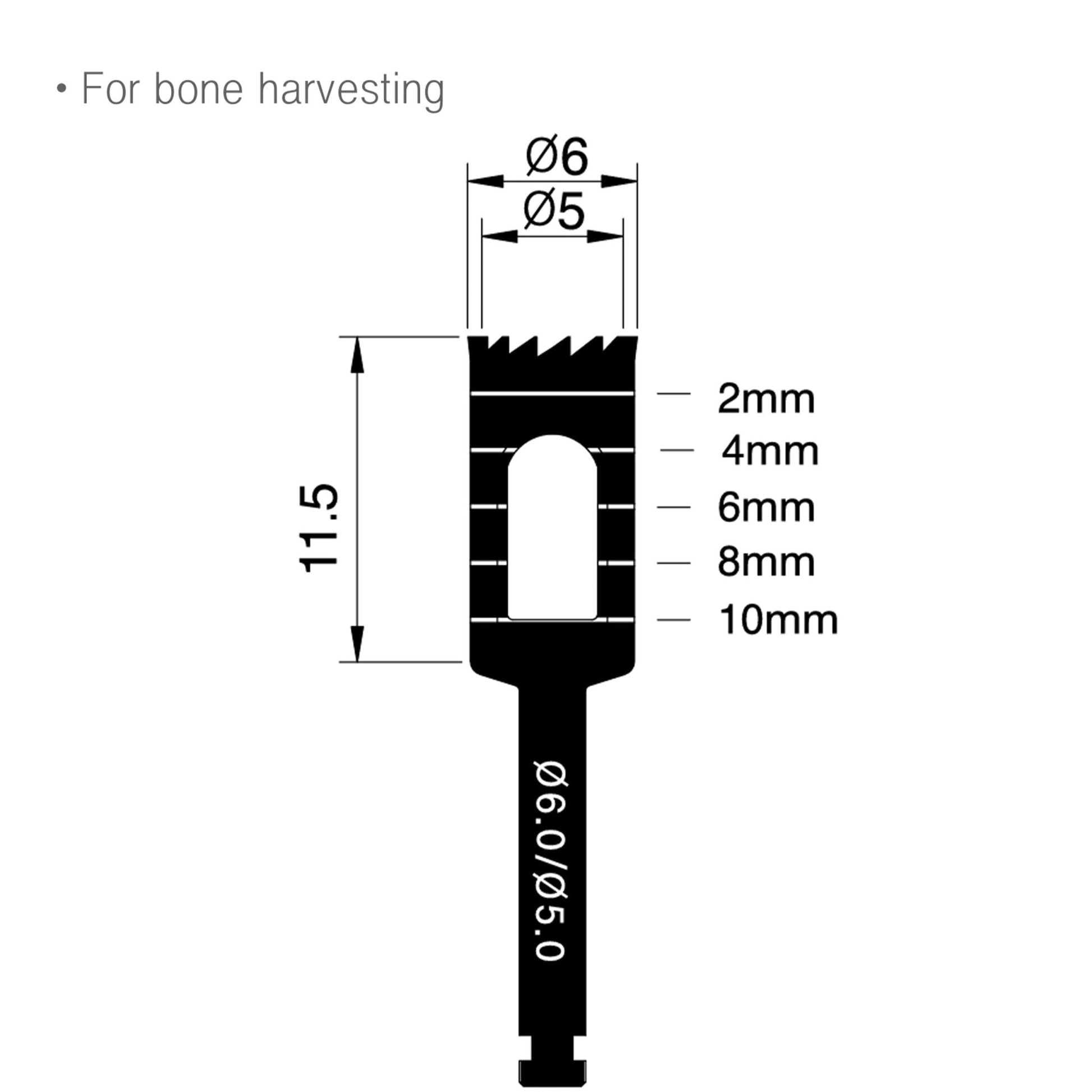 B60 Implant Trephine Bur Drill 6mm/5mm Osung - THB60 - Osung USA