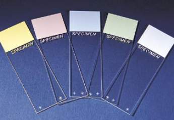 Superfrost™ Plus Microscope Slide, 144/GR