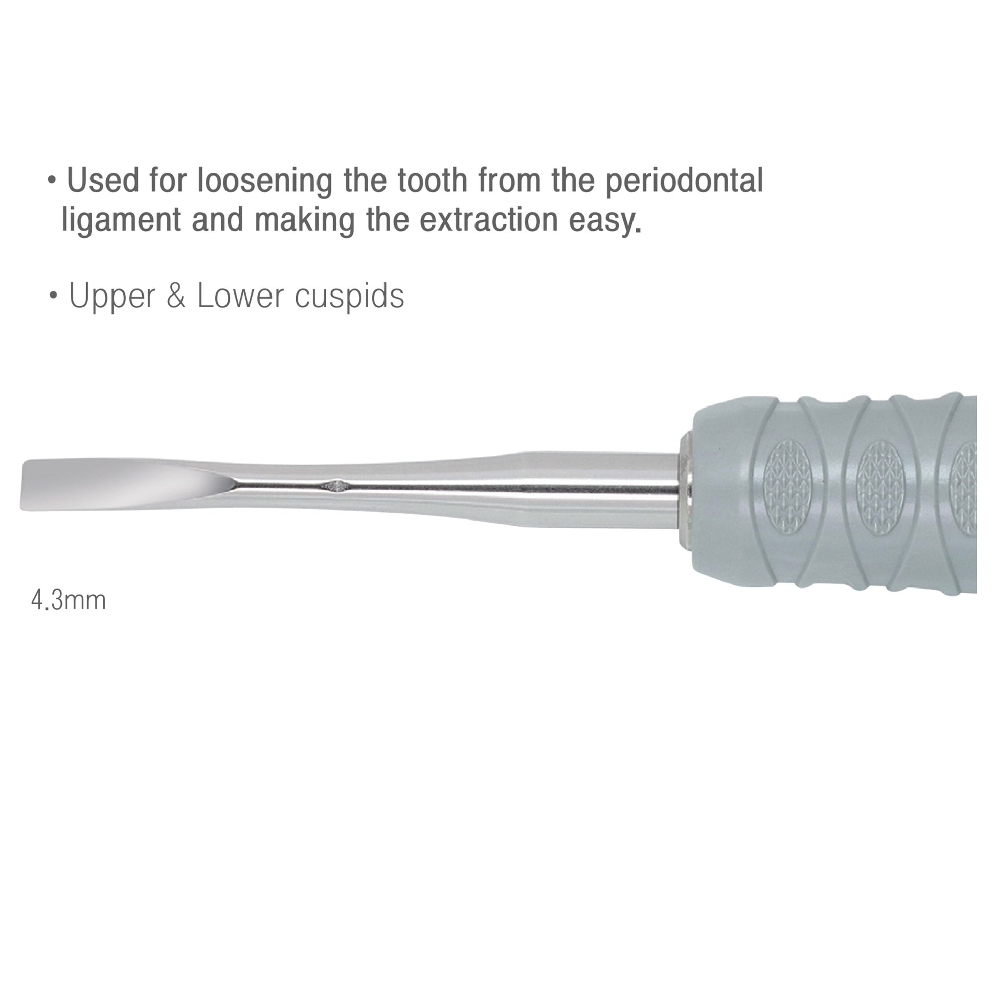 4.3mm Osung EL31F Dental Elevator Premium - Osung USA