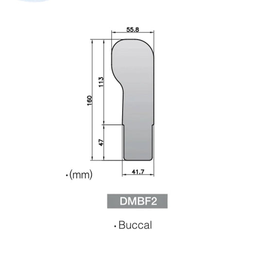 Buccal Mirror For Fog Free Intra Oral Photo System - DMBF2 - Osung USA