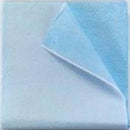 Tidi® Everyday Blue Flat Stretcher Sheet, 40 x 48 Inch, 100/CS