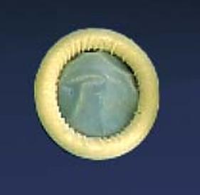 Ultra Cover™ Ultrasound Probe Cover, 1200/Cs