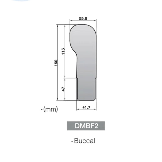 Buccal Mirror For Fog Free Intra Oral Photo System -DMBF2 - Osung USA