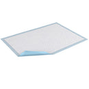 Tena® Underpad, Light Absorbency, 30 x 30 Inch, 150/CS