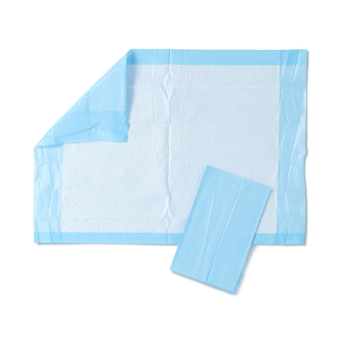 Protection Plus® Underpad, 17 X 24 Inches, 300/CS