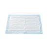 McKesson Classic Plus Light Absorbency Underpads, 17 x 24 Inch, 300/CS