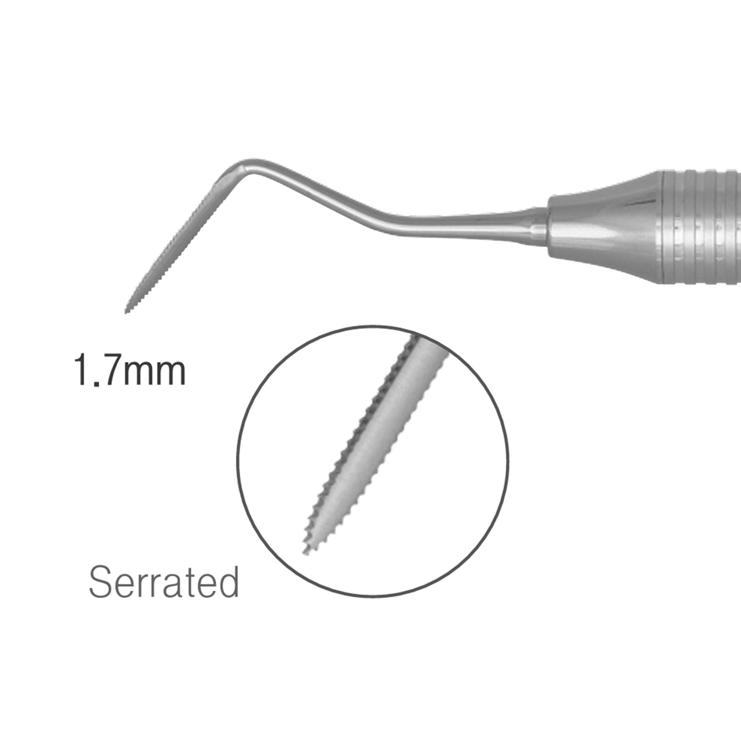 Osung Serrated Curved Dental Periotome -PRR258 - Osung USA