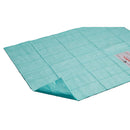 SURGISAFE® ABSORBENT FLOOR MAT, SOLD AS 1/EACH ASPEN 83030
