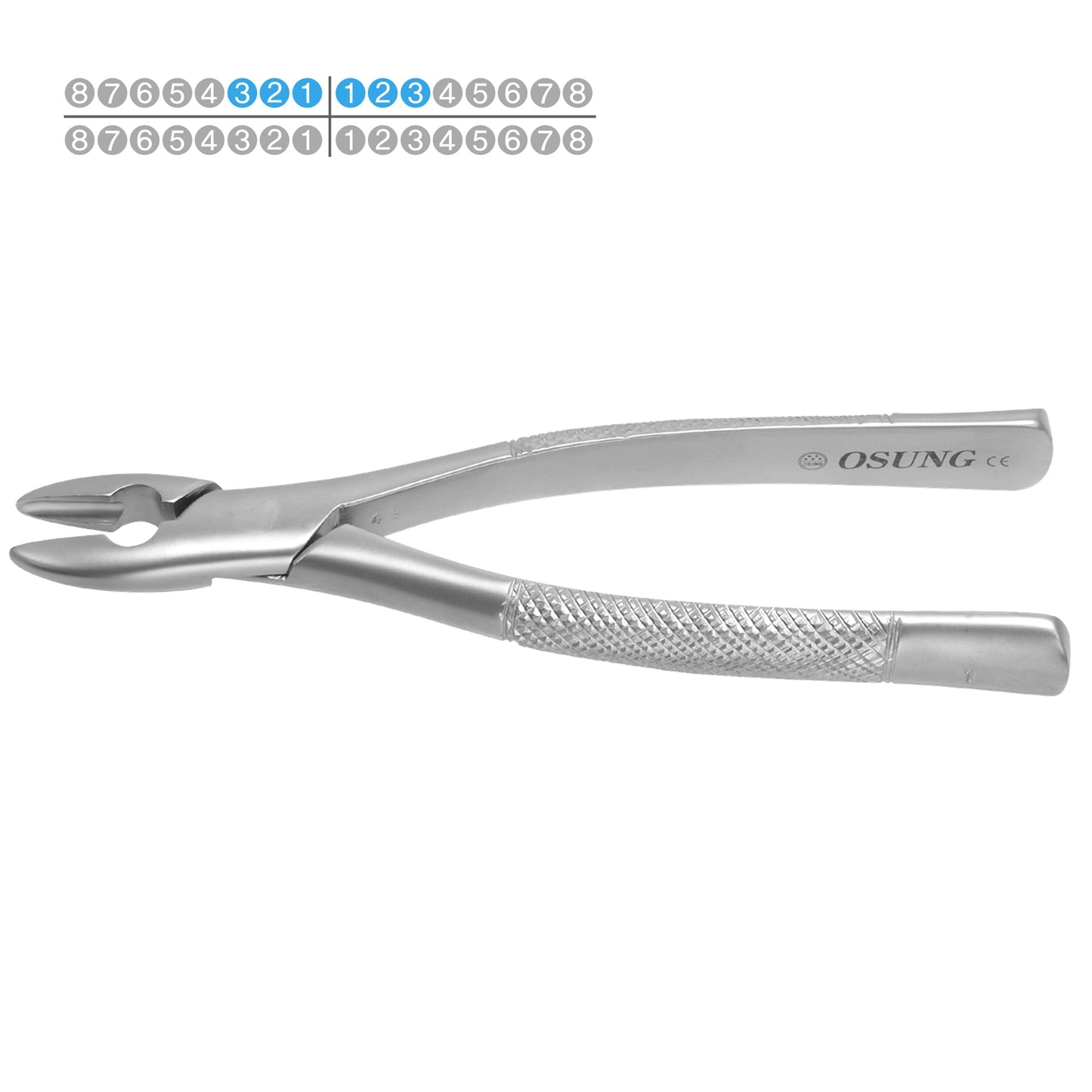 Osung #1 Upper Anterior Dental Extraction Forceps Premium -FX1 - Osung USA