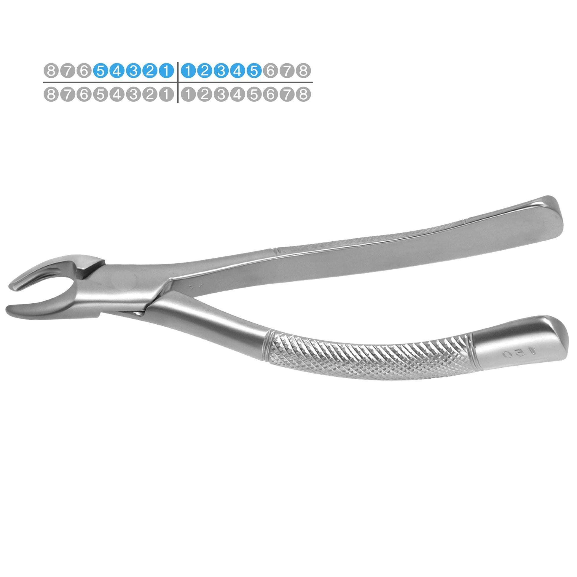 Osung #150 Upper Incisors Canines Premolars Dental Extraction Forceps -FX150 - Osung USA