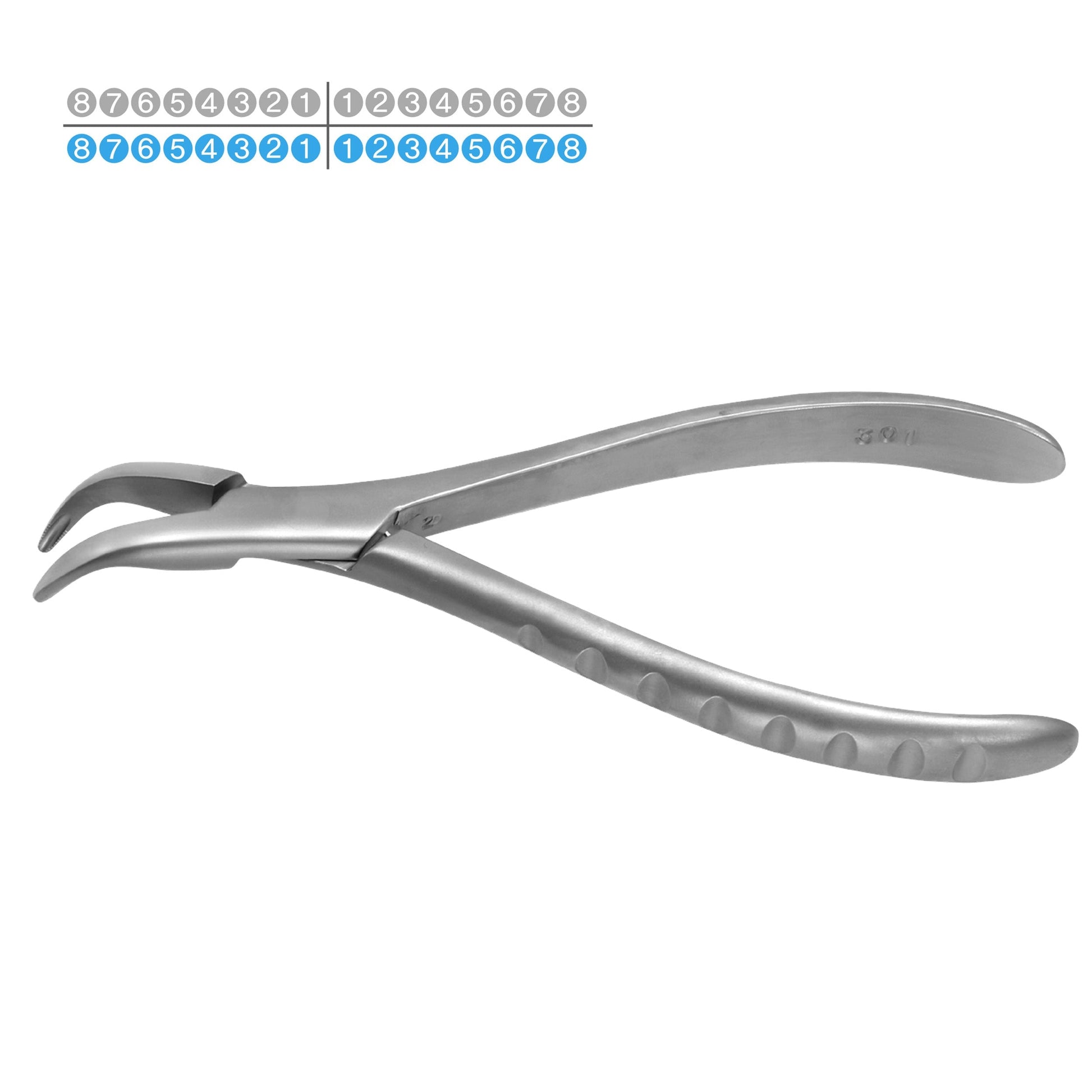 Osung #301 Lower Roots Dental Extraction Forceps Premium -FX301 - Osung USA