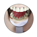 Osung 1.7" Dia. Large Round Mouth Mirror Metal Handle Dental Mirror -DMEM - Osung USA