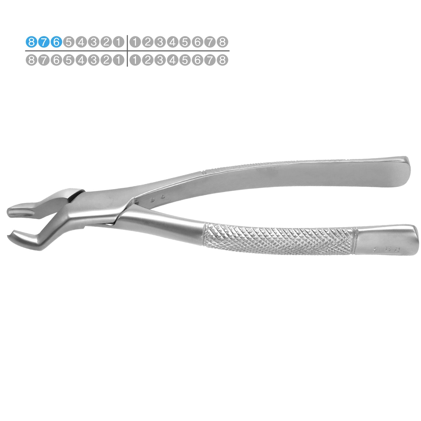 Osung 53R Right Upper Molars Dental Extraction Forceps Premium -FX53R - Osung USA