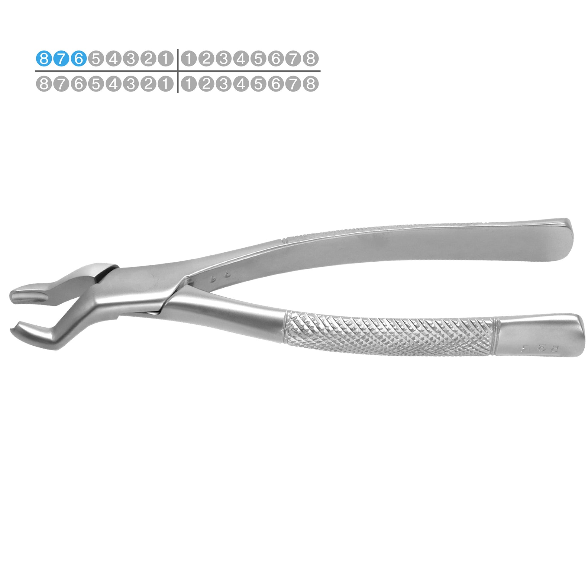 Osung 53R Right Upper Molars Dental Extraction Forceps Premium -FX53R - Osung USA