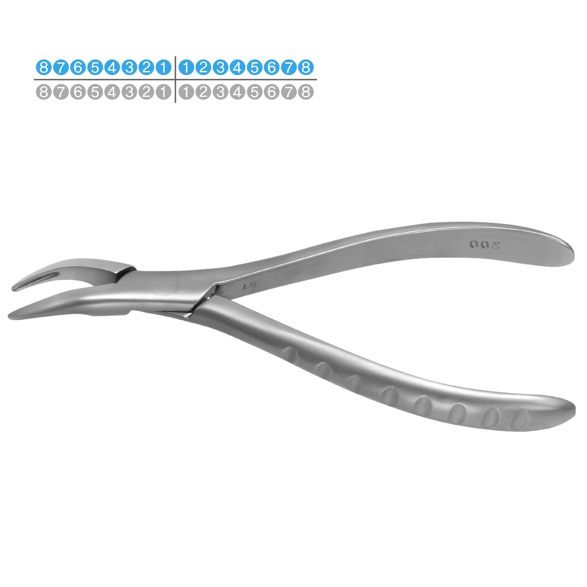 Osung #300 Upper Roots Dental Extraction Forceps Premium -FX300 - Osung USA