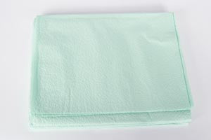 DRAPE SHEET, 24" X 40", 2-PLY TISSUE, WHITE, 200/CS, SOLD AS CASE TIDI 203