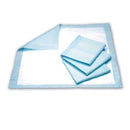 UNDERPAD, X-LARGE, 28" X 30", CAPACITY 10.6 FL OZ, GREEN, 10/BG, 10 BG/CS, SOLD AS CASE PRINCIPLE 10000599