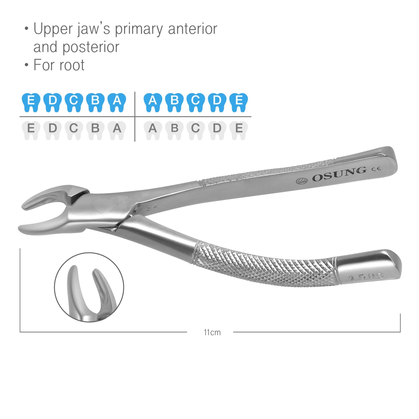 Osung 150S Upper Primary Teeth Dental Pedo Extraction Forceps Premium -FX150S - Osung USA