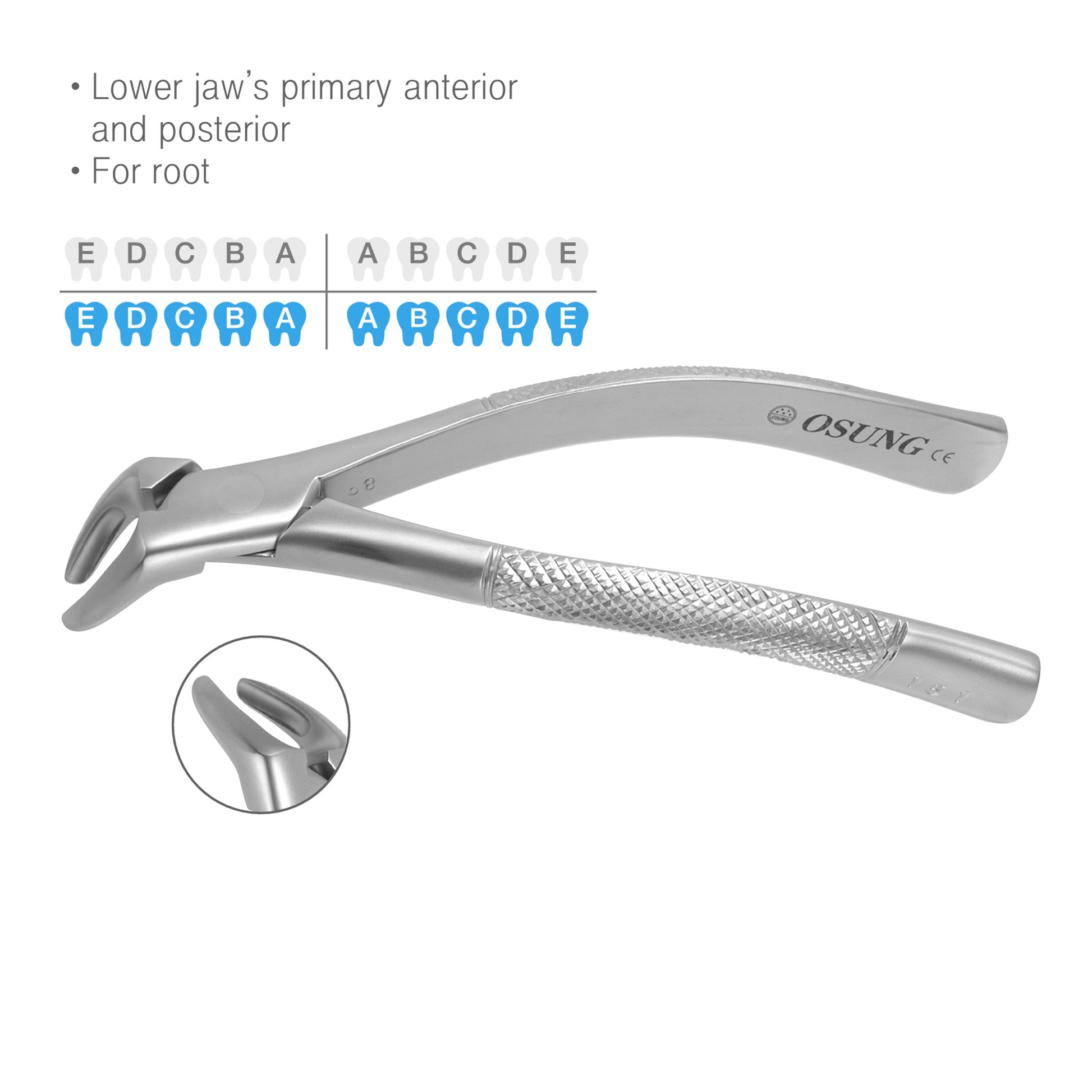 Osung 151S Lower Primary Dental Pedo Extraction Forceps Premium -FX151S - Osung USA