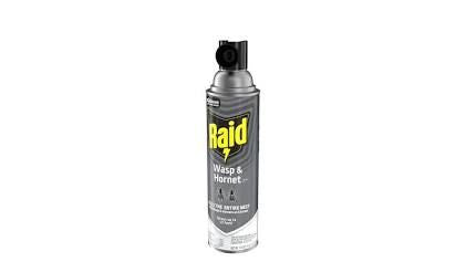 Insecticide,Raid,Wsp&Hrnt, 1/Ea