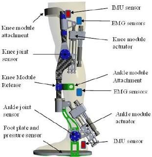 Actuator, F/Bed Deck Knee & Foot, 1/Ea