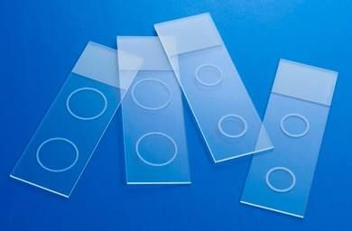 Slide, Micro Frsted Flursnt 2Ring 10Mm Diam (144/Pk) Fshsci, 144/Pk
