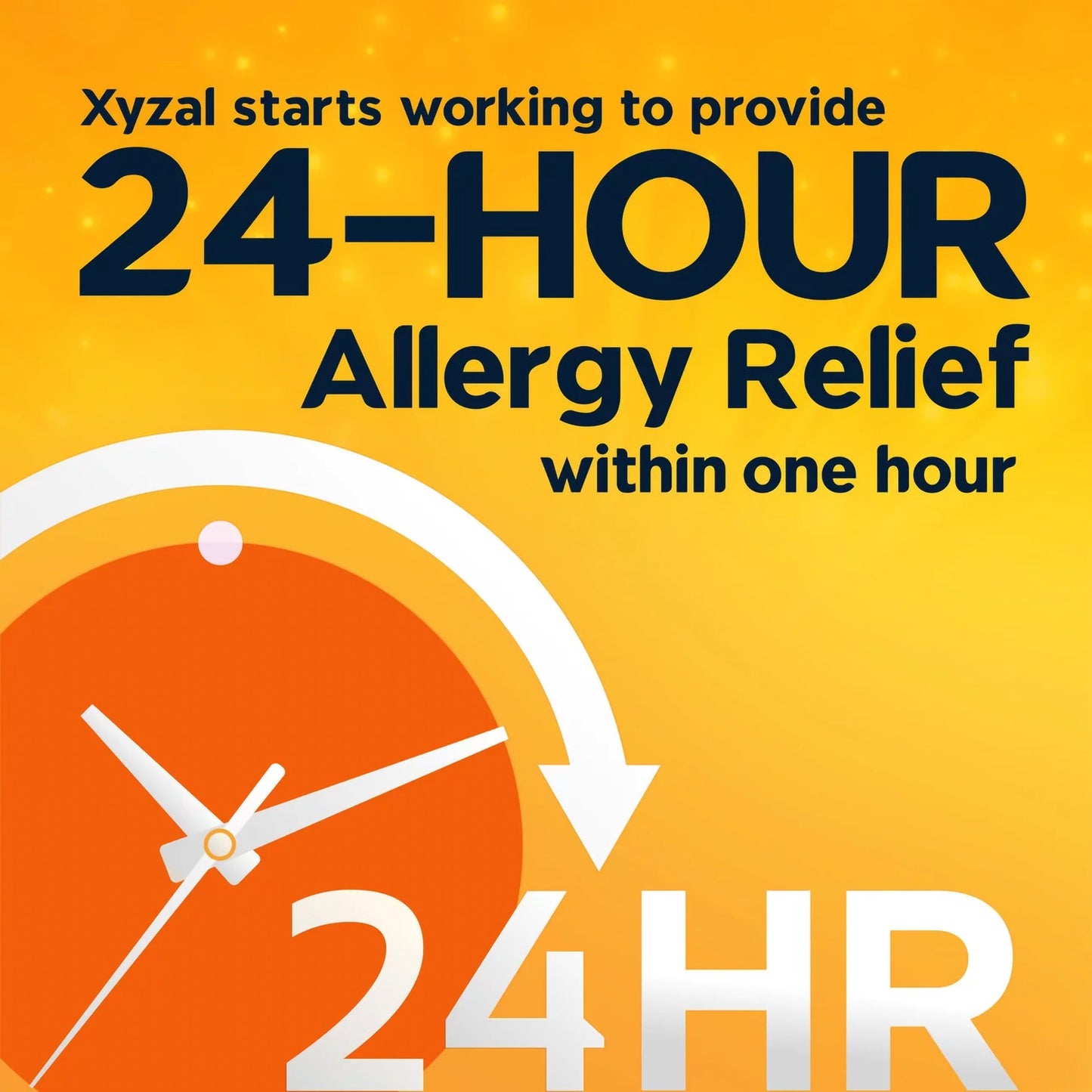 Xyzal Allergy 24 HR Tablets 1/BOTTLE -04116735101