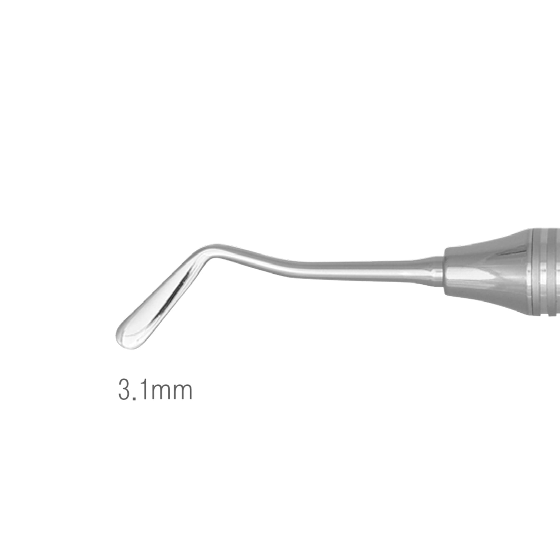 Osung #2 Woodson Plastic Filling Instrument Premium -WDS 2 - Osung USA