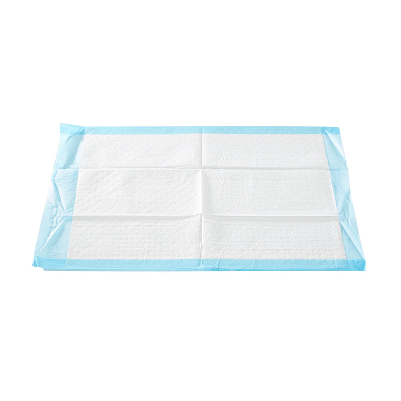 McKesson Nonsterile Blue Procedure Underpad, 17 x 24 Inch 1/PACK -16-16650 - BriteSources