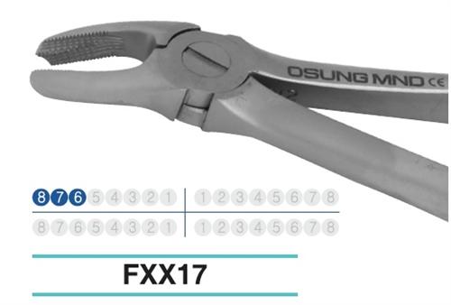 Adult Extraction Forcep, FXX17 - BriteSources