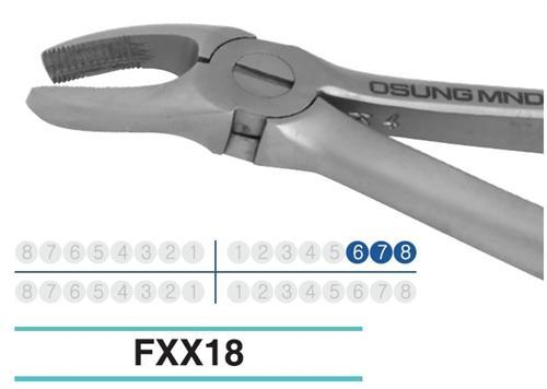Adult Extraction Forcep, FXX18 - BriteSources