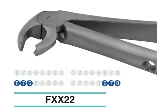Adult Extraction Forcep, FXX22 - BriteSources