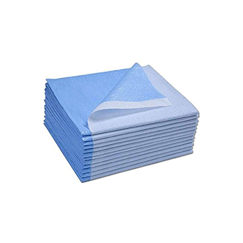 Avalon Papers Stretcher & Bed Sheets 1 Ply Tissue + Poly. Sheet Stretcher Blu 1Ply40X48In 100/Cs, Case