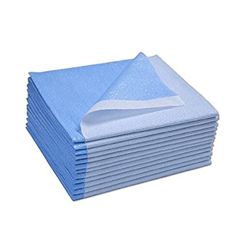 Avalon Papers Stretcher & Bed Sheets 1 Ply Tissue + Poly. Sheet Stretcher Blu 1Ply40X60In 100/Cs, Case